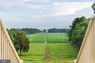 LUXURY PROPERTY AUCTION: 28 July-12 August. Accepting starting - photo 35