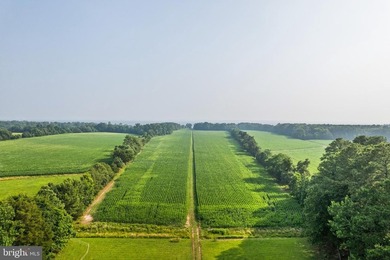 LUXURY PROPERTY AUCTION: 28 July-12 August. Accepting starting - photo 36