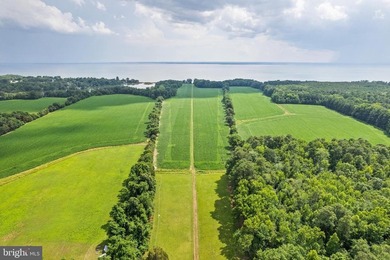 LUXURY PROPERTY AUCTION: 28 July-12 August. Accepting starting - photo 37