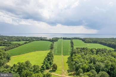 LUXURY PROPERTY AUCTION: 28 July-12 August. Accepting starting - photo 38