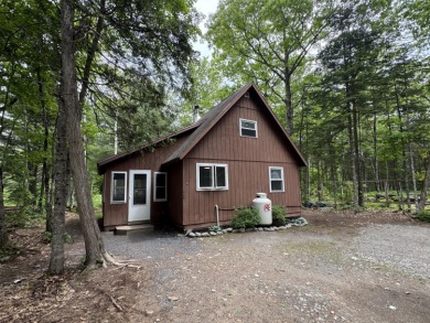 (private lake, pond, creek) Home For Sale in Abbot Maine