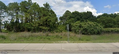 Lehigh Acres Area Lot For Sale in Lehigh Acres Florida