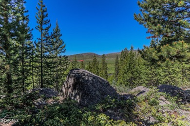 Lake Lot For Sale in Grand Lake, Colorado