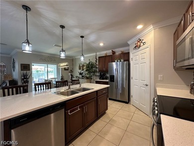 Welcome to this exceptional property located in the Cape Coral - photo 5