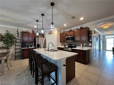 Welcome to this exceptional property located in the Cape Coral - photo 8