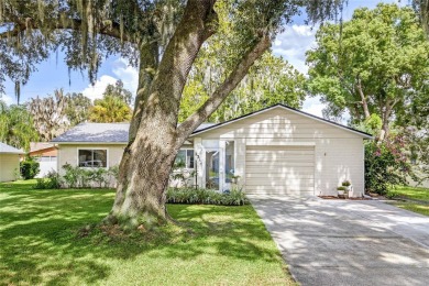 Lake Home Sale Pending in Eustis, Florida