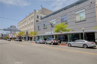 Discover the ultimate urban sanctuary in the heart of Downtown - photo 16