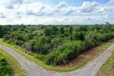 Located in the heart of North Port's burgeoning growth corridor - photo 1