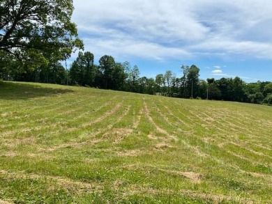 Dale Hollow Lake Acreage Sale Pending in Celina Tennessee