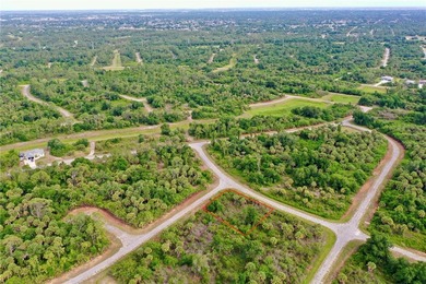 Located in the heart of North Port's burgeoning growth corridor - photo 3