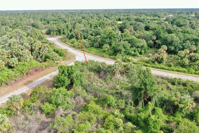 Located in the heart of North Port's burgeoning growth corridor - photo 4