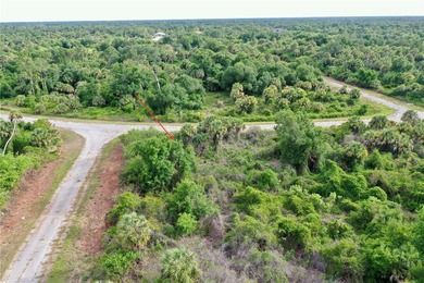 Located in the heart of North Port's burgeoning growth corridor - photo 6