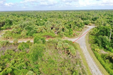 Located in the heart of North Port's burgeoning growth corridor - photo 8