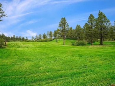 Lake Lot For Sale in Pagosa Springs, Colorado