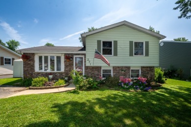 Lake Home Sale Pending in Antioch, Illinois