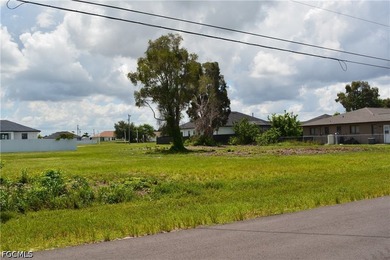 Build your Dream Home on this 3 Lot Site in the Growing NW Cape! - photo 4