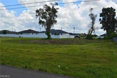 Build your Dream Home on this 3 Lot Site in the Growing NW Cape! - photo 6