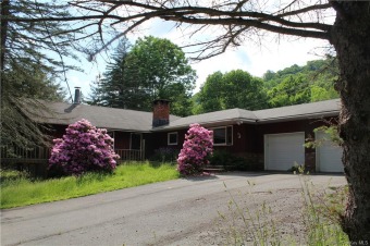 Lake Home Off Market in Roscoe, New York