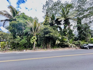 Vacant lot located in Hawaii Parks subdivision. Right off - photo 3