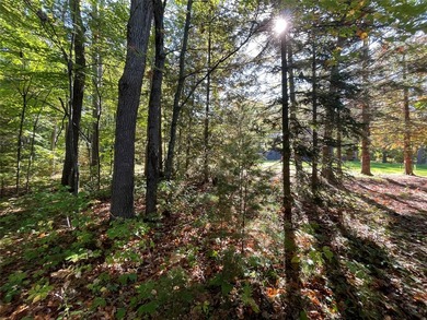 Build your dream cabin or lake home on this exceptional - photo 22