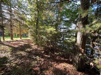 Build your dream cabin or lake home on this exceptional - photo 25