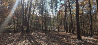 Lake Acreage For Sale in York, South Carolina