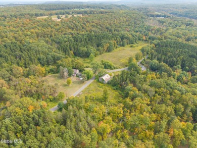 Lake Home For Sale in New Scotland, New York