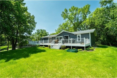 Lake Home For Sale in Ida Twp, Minnesota