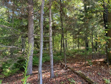 Build your dream cabin or lake home on this exceptional - photo 42