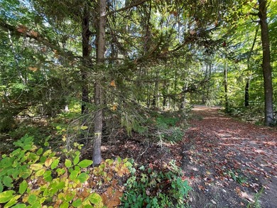 Build your dream cabin or lake home on this exceptional - photo 44