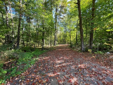 Build your dream cabin or lake home on this exceptional - photo 45