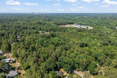 Nestled in the highly sought-after Hope Valley area, this - photo 50