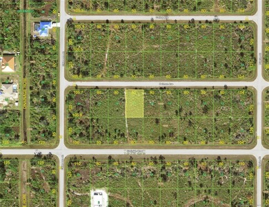 Welcome to Gulf Cove, a developing community along the Myakka - photo 1
