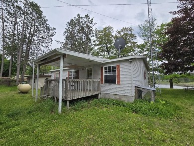 Lake Home For Sale in Barryton, Michigan