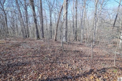 Kentucky Lake Lot For Sale in New Concord Kentucky