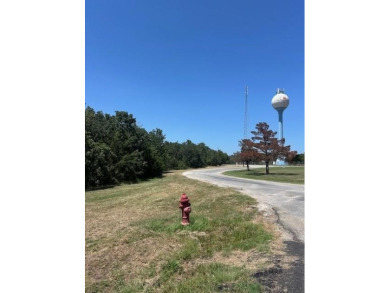 Lake Bridgeport Lot For Sale in Runaway Bay Texas