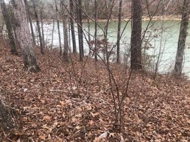 Lewis Smith Lake Lot For Sale in Double Springs Alabama
