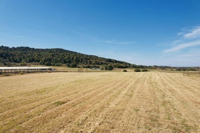 Lake Cumberland Acreage For Sale in Somerset Kentucky