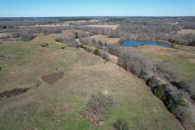 Excellent 13 acre tract on Highway 349 in Potts Camp, MS - photo 7