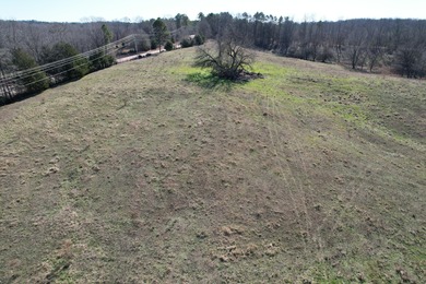 Excellent 13 acre tract on Highway 349 in Potts Camp, MS - photo 9