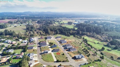 OCEAN TERRACE! Coveted Ocean Terrace lot near Bandon's world - photo 4