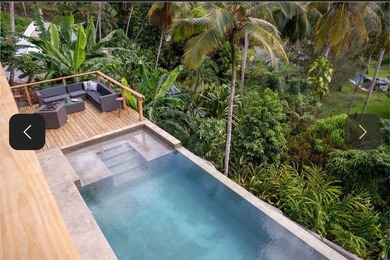 Privacy, modern comfort, and an exceptional Caribbean lifestyle - photo 1