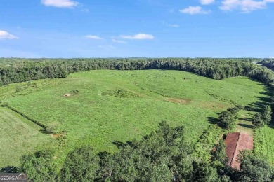 Lake Acreage For Sale in Mount Airy, Georgia