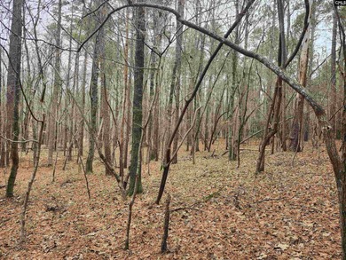 Here is your opportunity to own a large 13.79 acre parcel only - photo 4