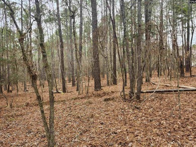Here is your opportunity to own a large 13.79 acre parcel only - photo 5
