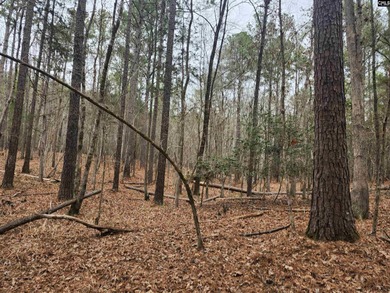 Here is your opportunity to own a large 13.79 acre parcel only - photo 6