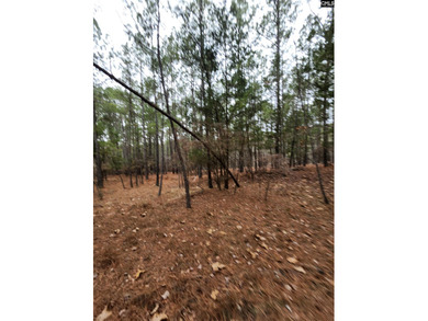 Here is your opportunity to own a large 13.79 acre parcel only - photo 7