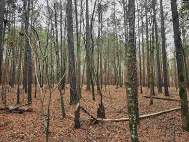 Here is your opportunity to own a large 13.79 acre parcel only - photo 8