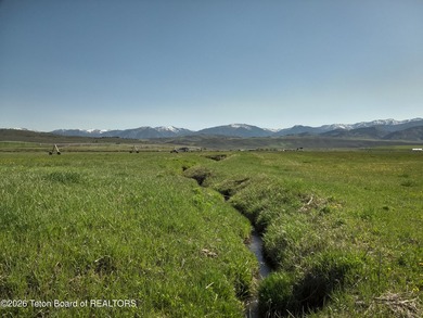 160+/- Acre Irrigated Ranch for Sale | Auburn, Wyoming 1 Hour - photo 4