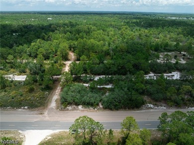 Lake June in Winter Lot For Sale in Lake Placid Florida